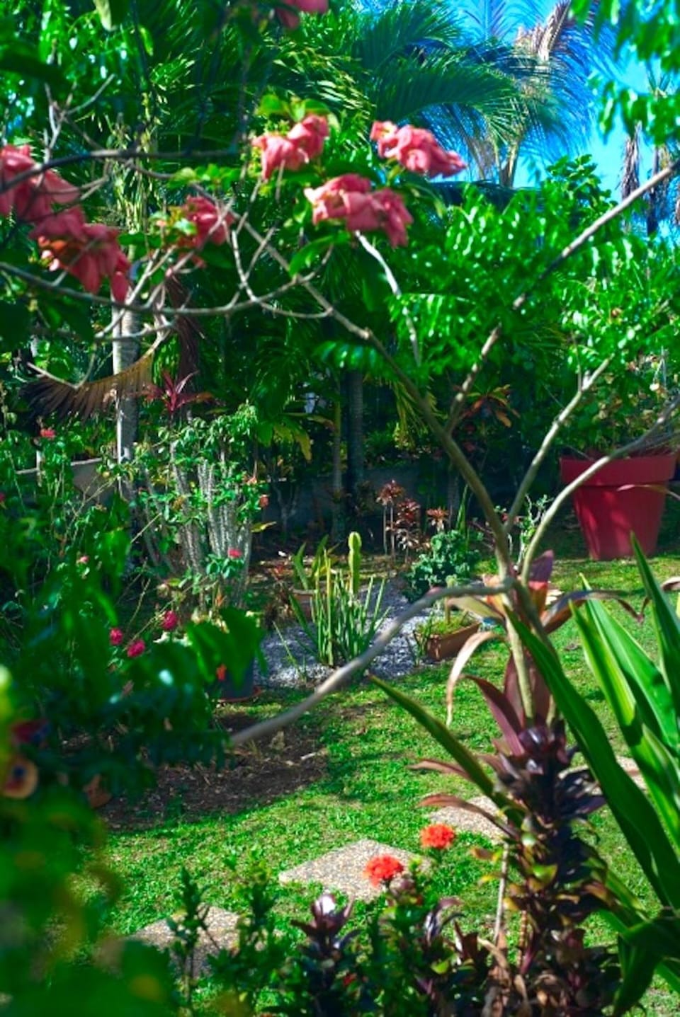 Garden