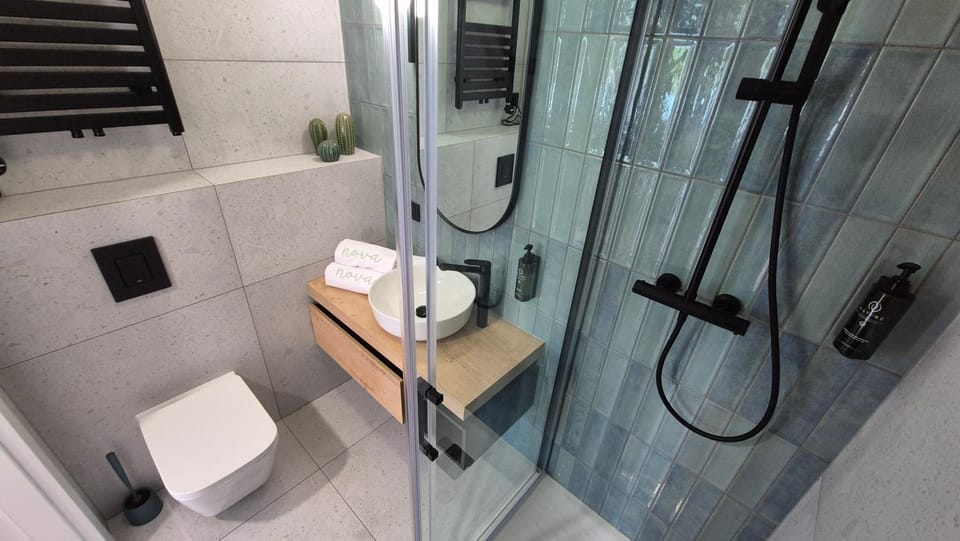 Shower, Toilet, Bathroom, towels