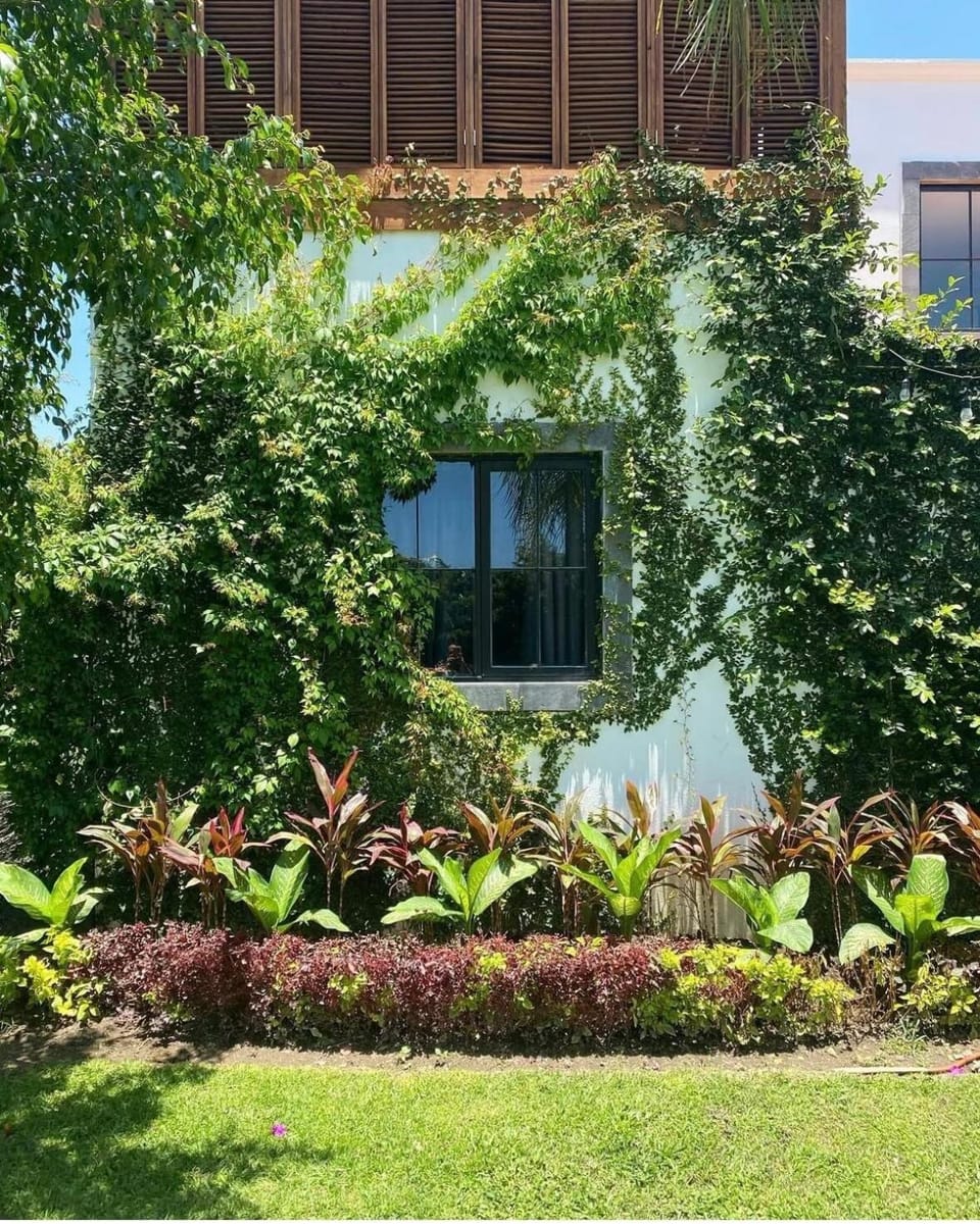 Finca La Rosalía Accommodation and Events House in Atlixco
