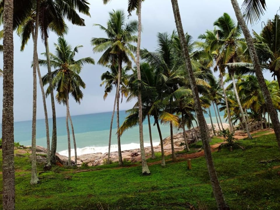 Vaiga Ladies HomeStay Bed and Breakfast in Kerala