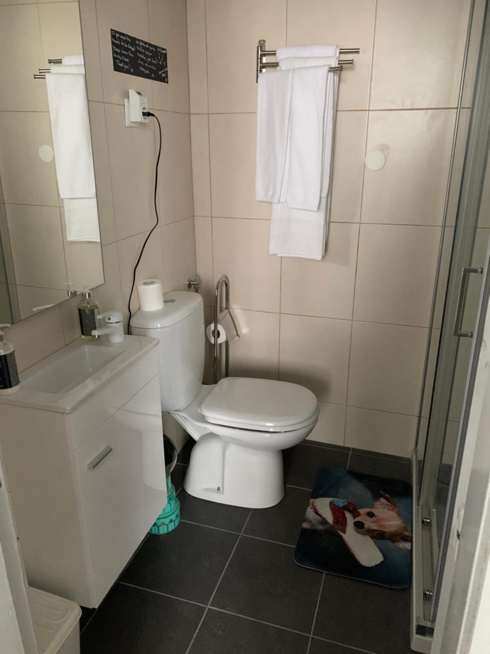 Shower, Toilet, Bathroom, Other, Other, Other, Photo of the whole room, Decorative detail, Decorative detail, Area and facilities, Area and facilities, towels