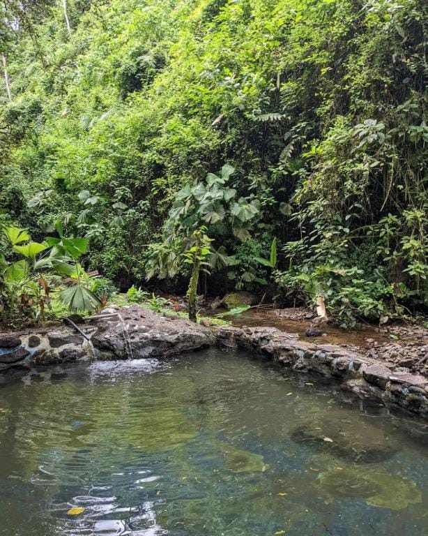 Rustic Jungle EcoLodge Near Arenal Volcano House in Alajuela Province