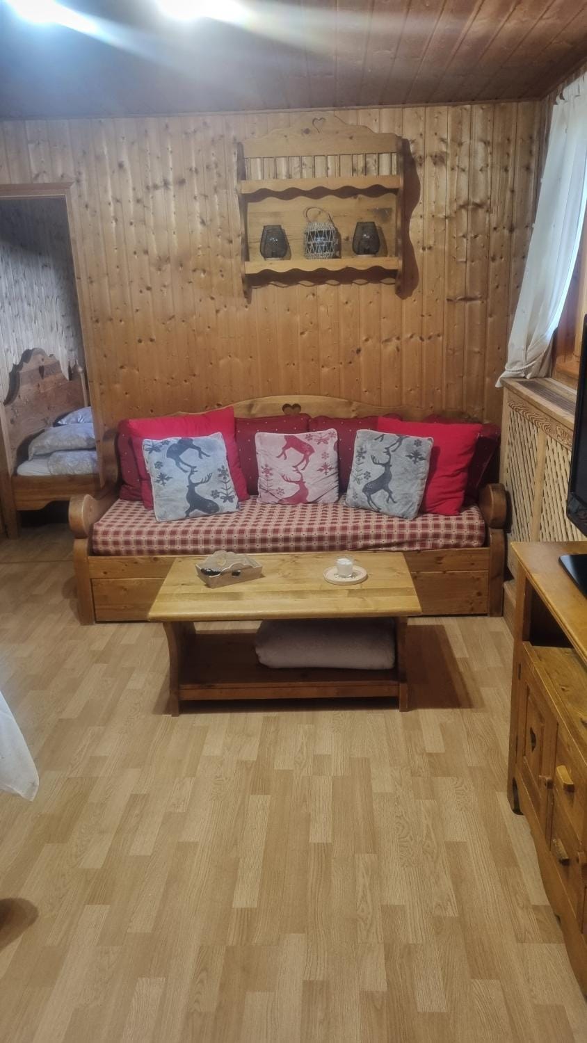 Le montagnard Apartment in Haute-Savoie