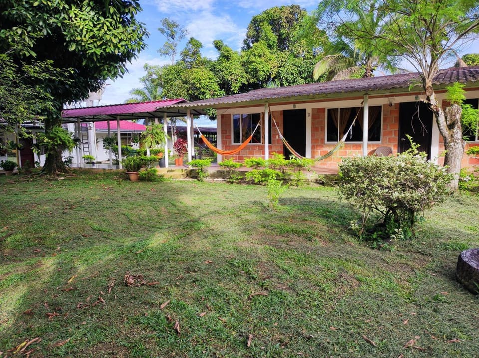 Garden, Garden view