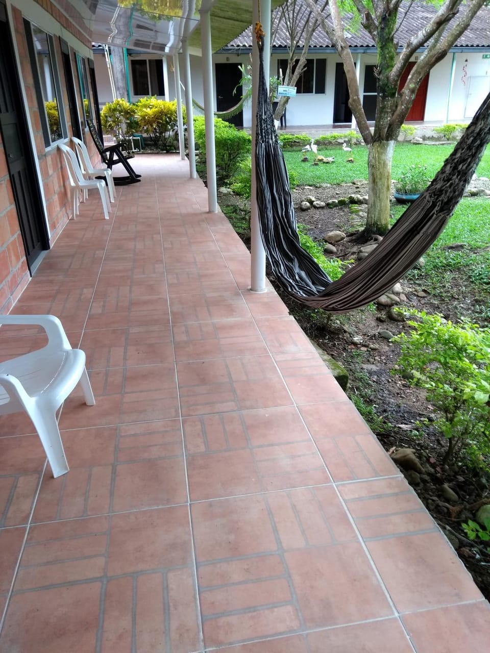 Garden view