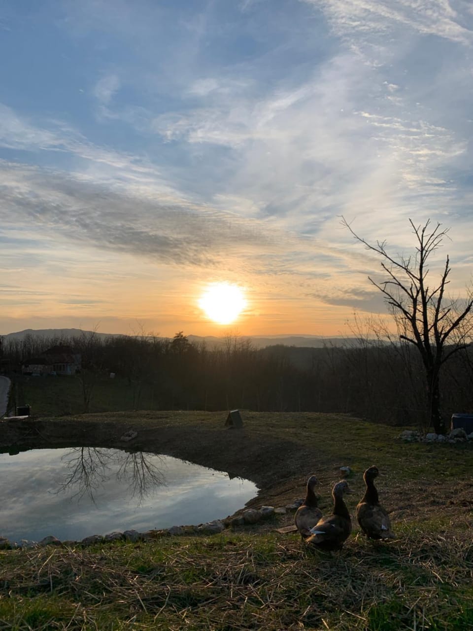 Lake view, Sunset