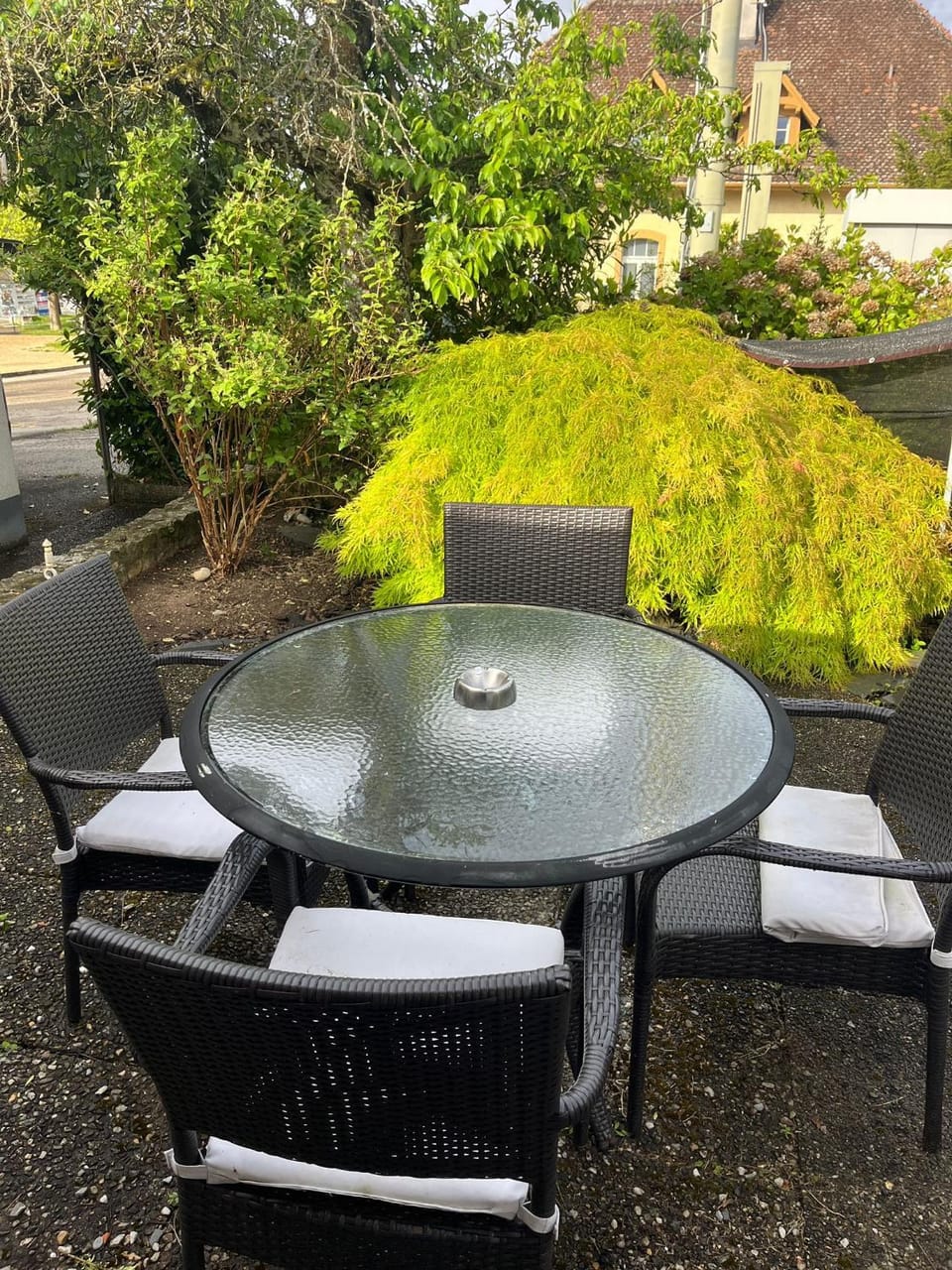 Patio, Spring