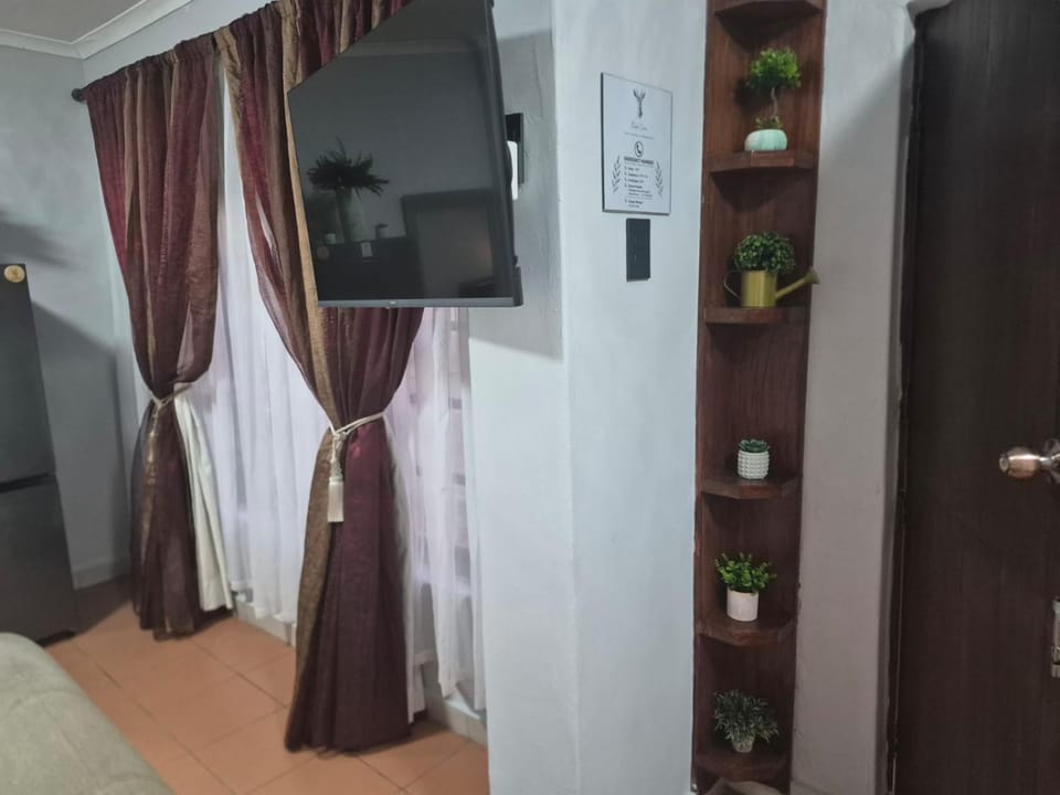 TV and multimedia, Evening entertainment