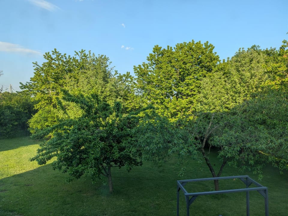 View (from property/room)