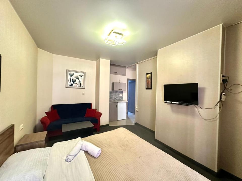 TV and multimedia