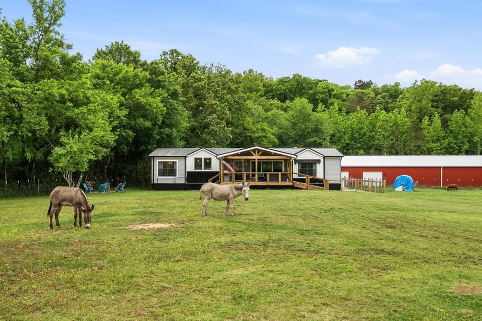 Animals, Hot Tub, Fire Pit, Museum in Hot Springs! Farm Stay in Hot Springs