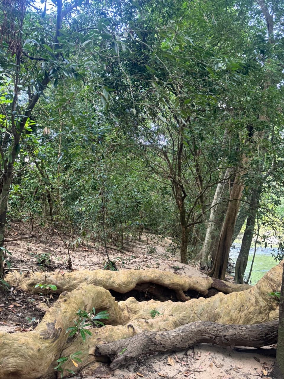 Avadiya Campground/ 
RV Resort in Uva Province, Sri Lanka