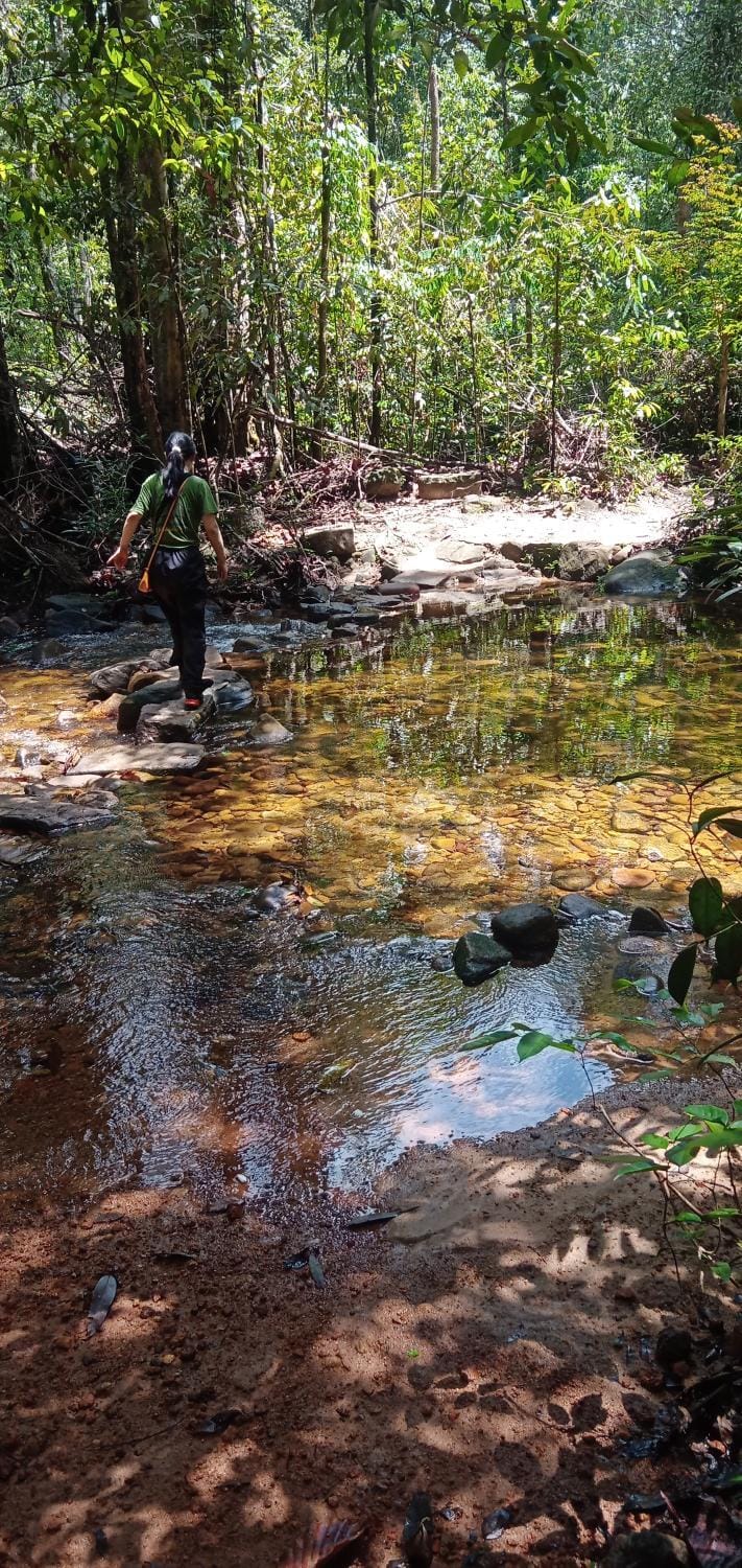 Camping hiking Bird watching makandawa tropical rainforest Kithulgala Luxury tent in Sri Lanka