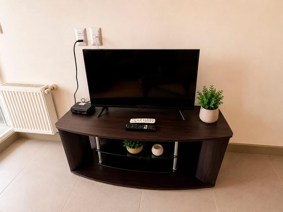 TV and multimedia