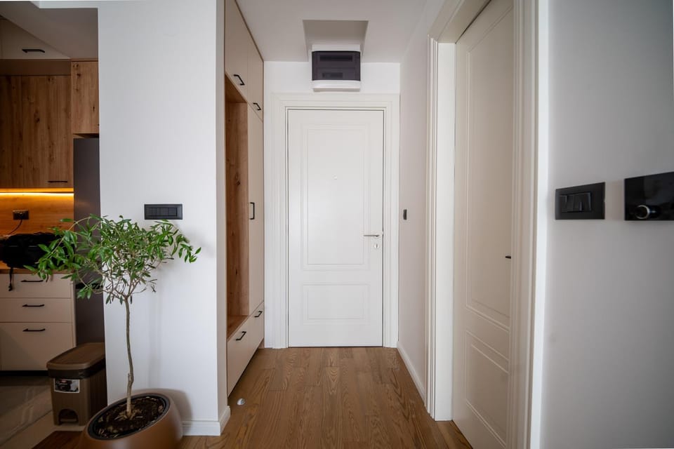 The Little Olive Apartment Apartment in Podgorica