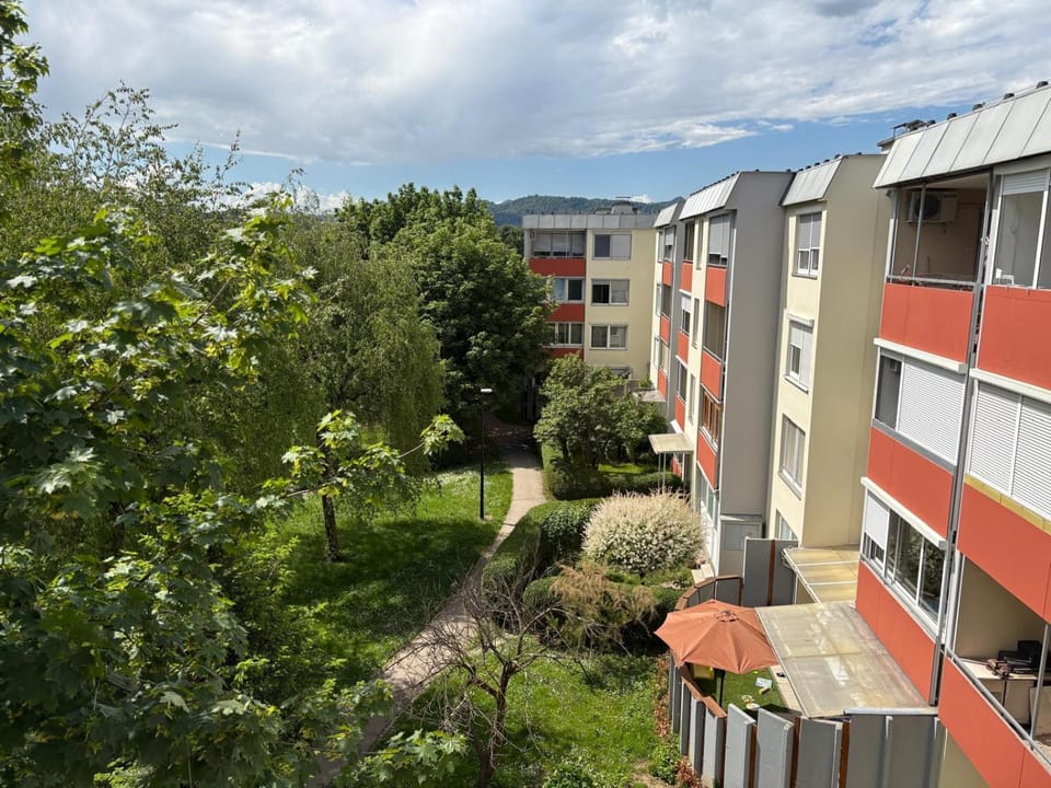 View (from property/room), Garden view