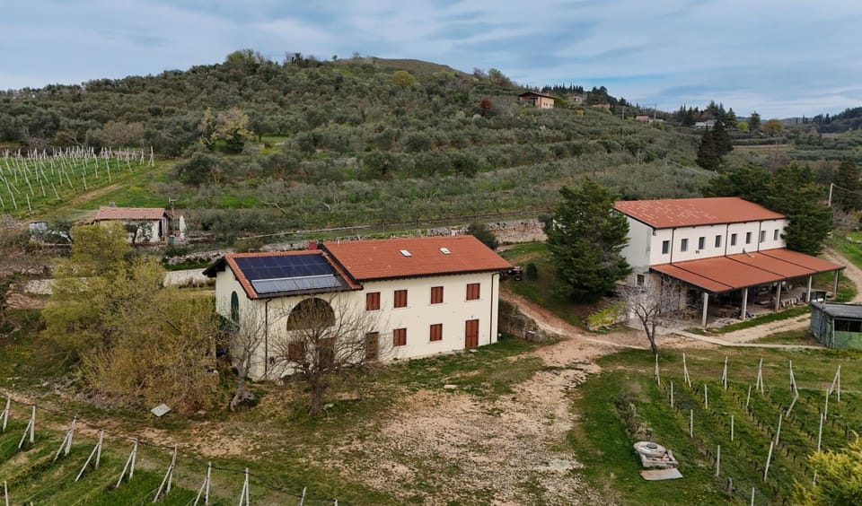 Property building, Bird's eye view