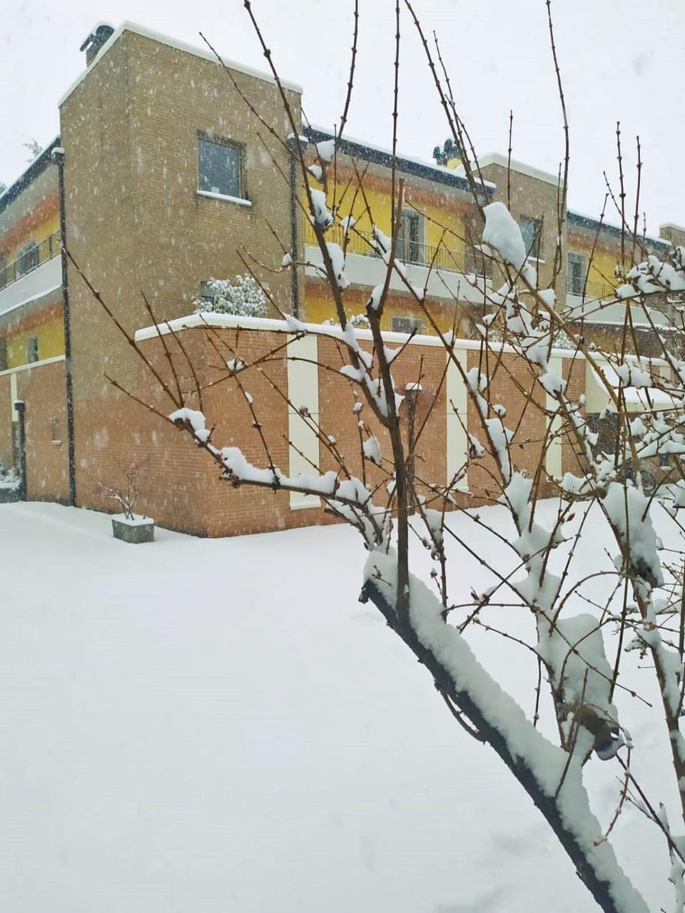 Winter, Parking