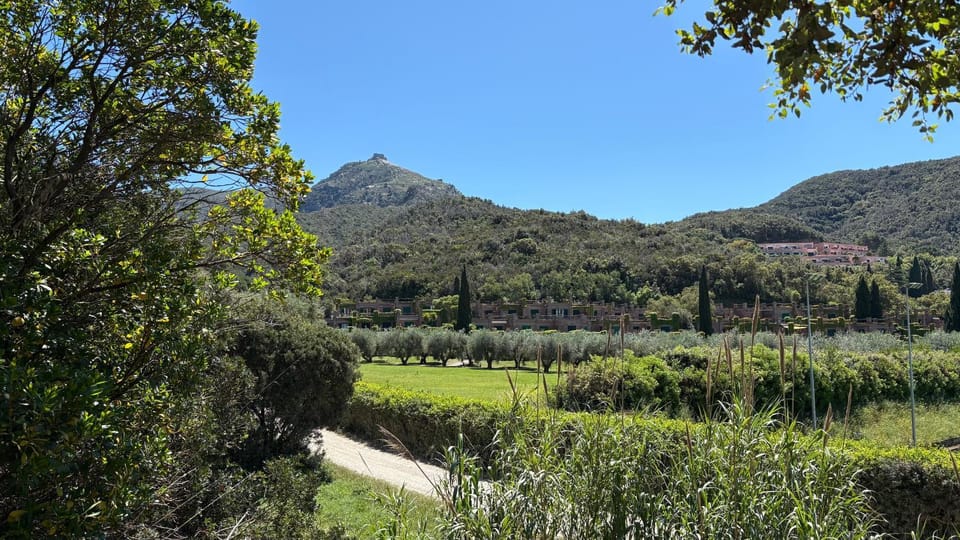 Garden view