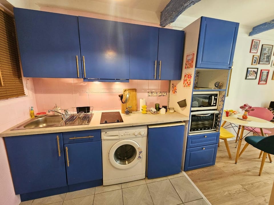 Le petit Matisse au cœur de Vence Apartment in Vence