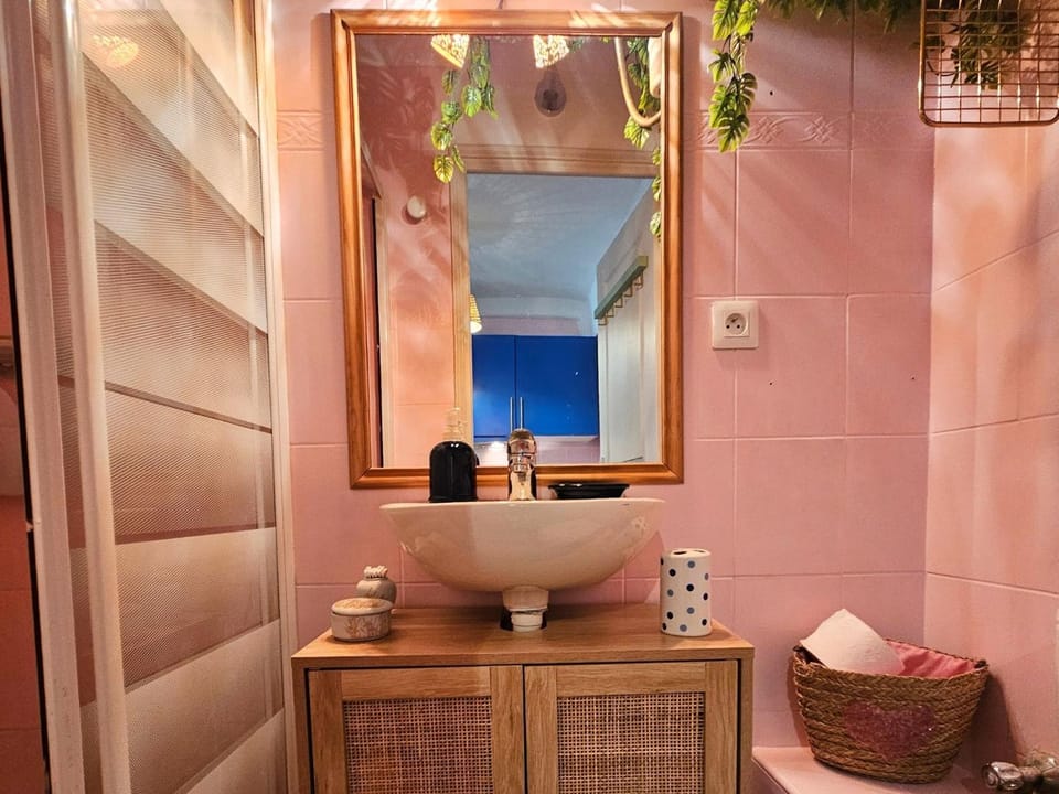 Le petit Matisse au cœur de Vence Apartment in Vence