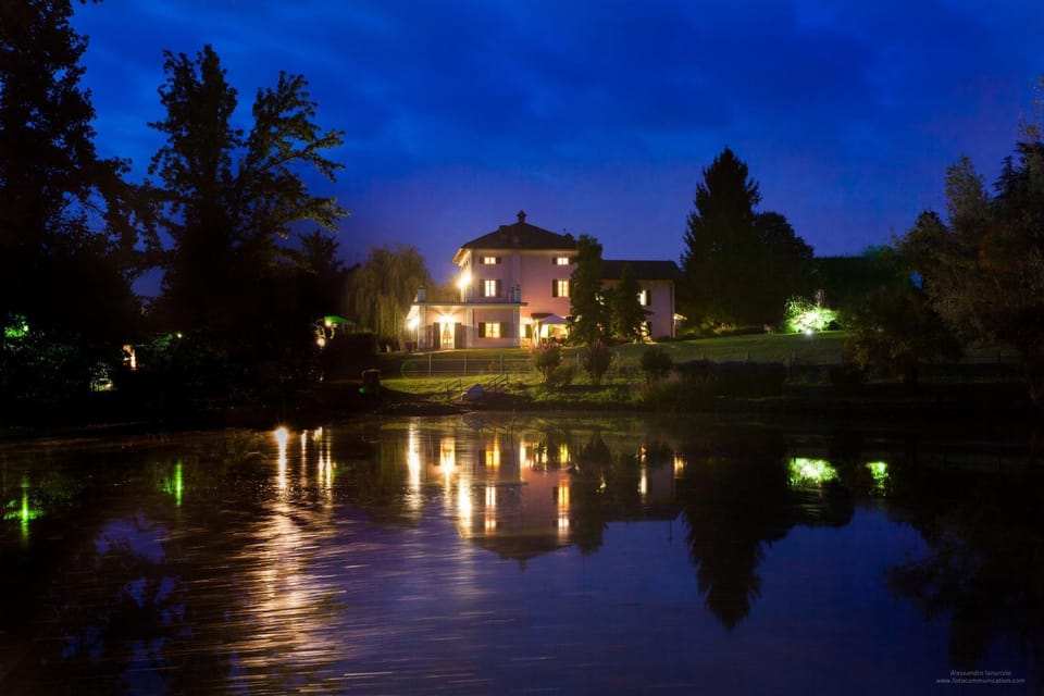Lake view