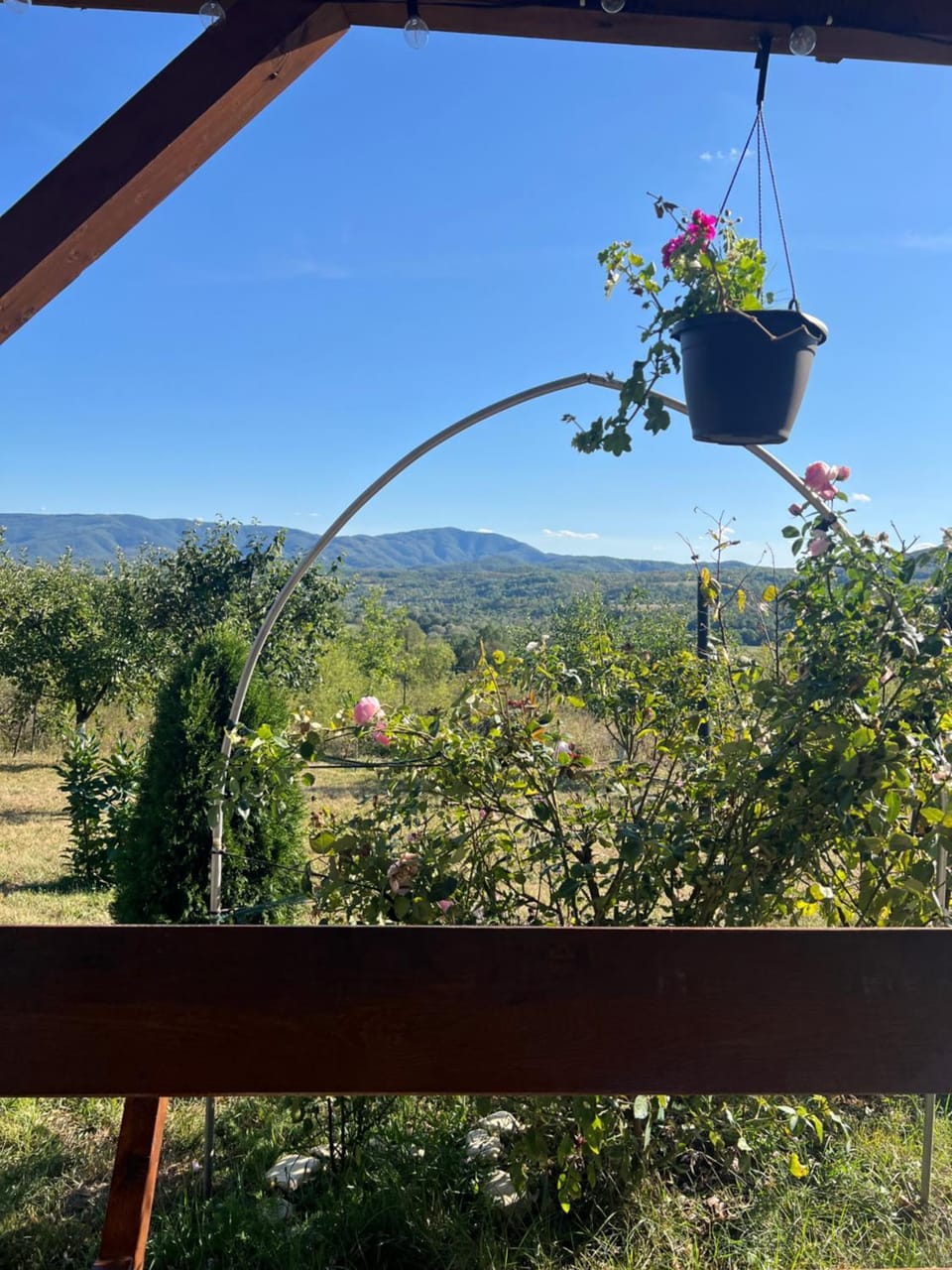 Mountain view