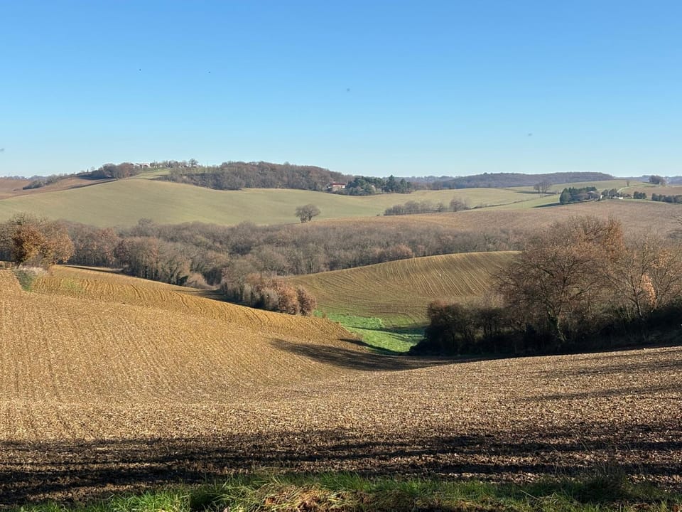 Natural landscape