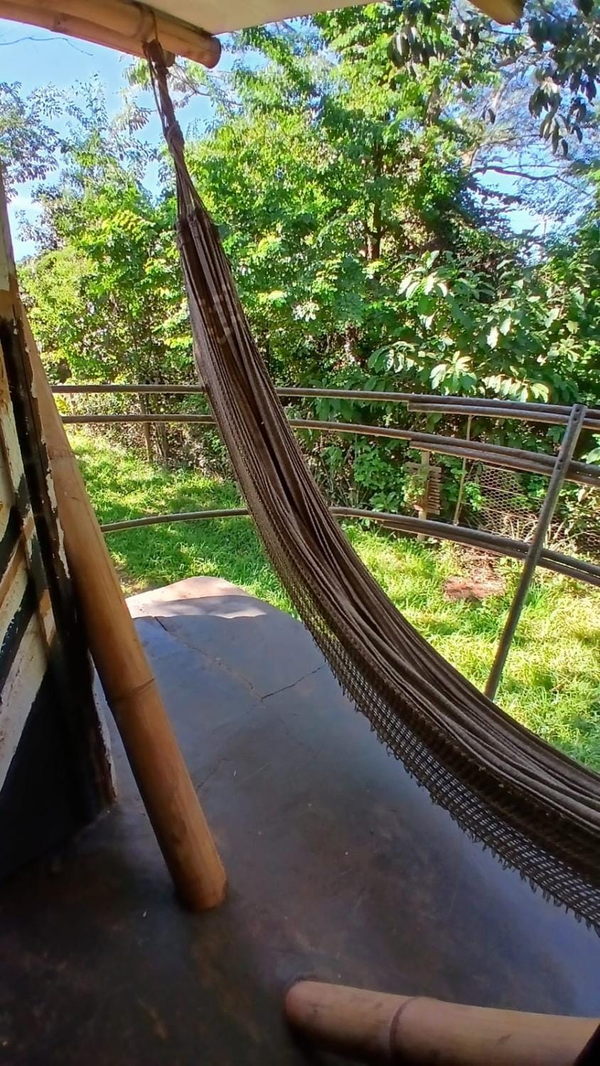 Property building, View (from property/room), Garden view
