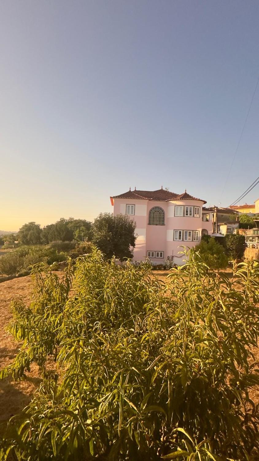 Pink-Shell Bed and Breakfast in Aveiro District, Portugal