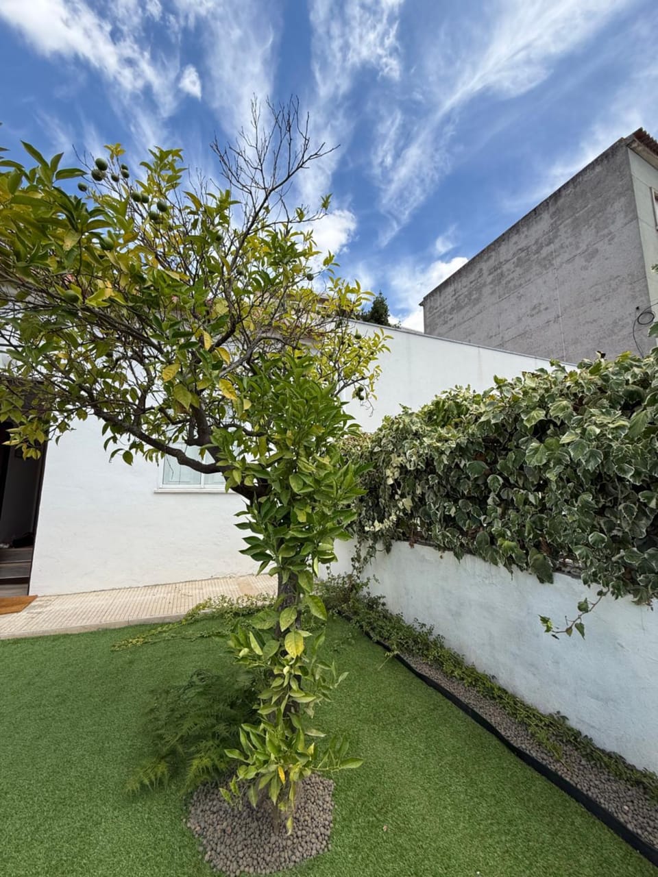 Property building, Garden view