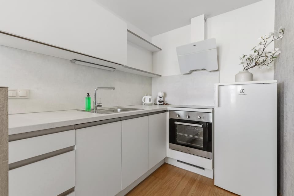 Kitchen or kitchenette, dishwasher, oven, stove