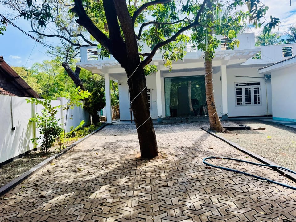 Property building, Garden, Garden view