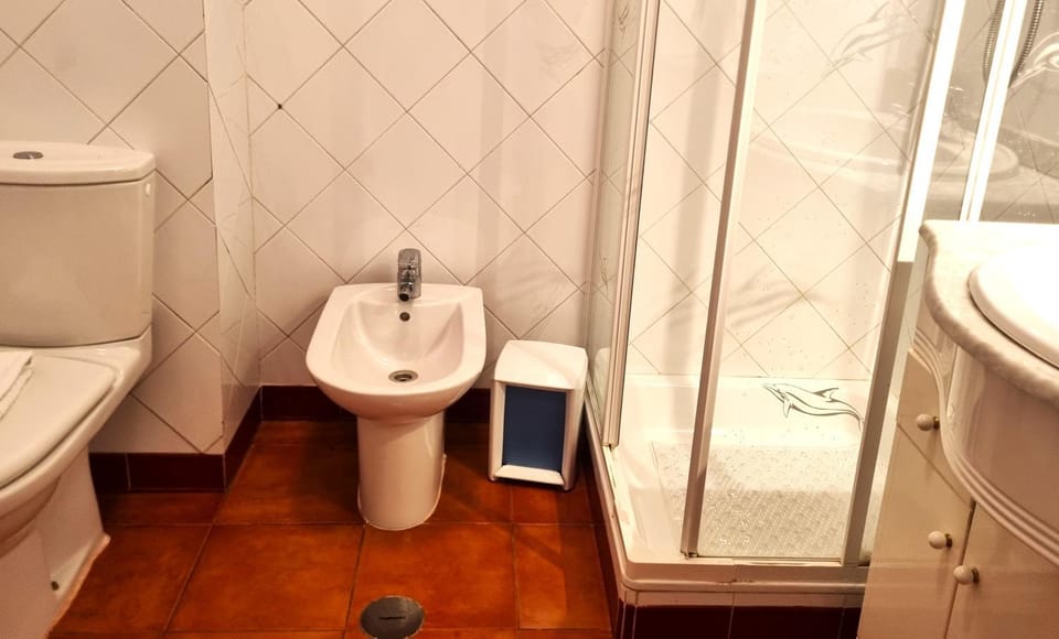 Shower, Toilet, Bathroom, bidet