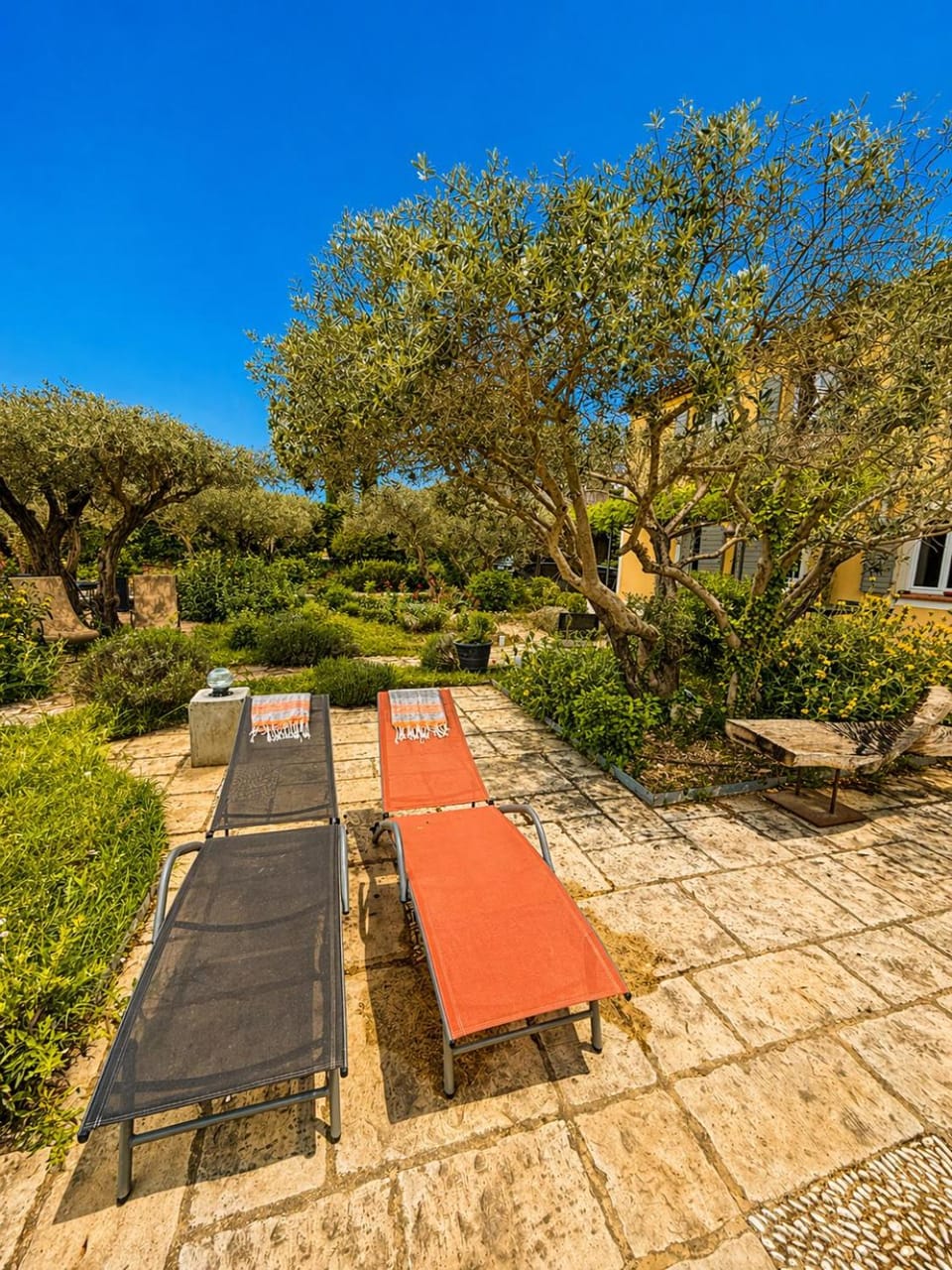Mas pied des Alpilles 5 min centre piscine privée 9 pers House in Saint-Remy-de-Provence