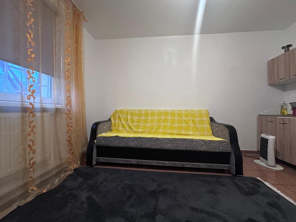 Studio Family Spațios pentru 4 Oaspeți Apartment in Romania