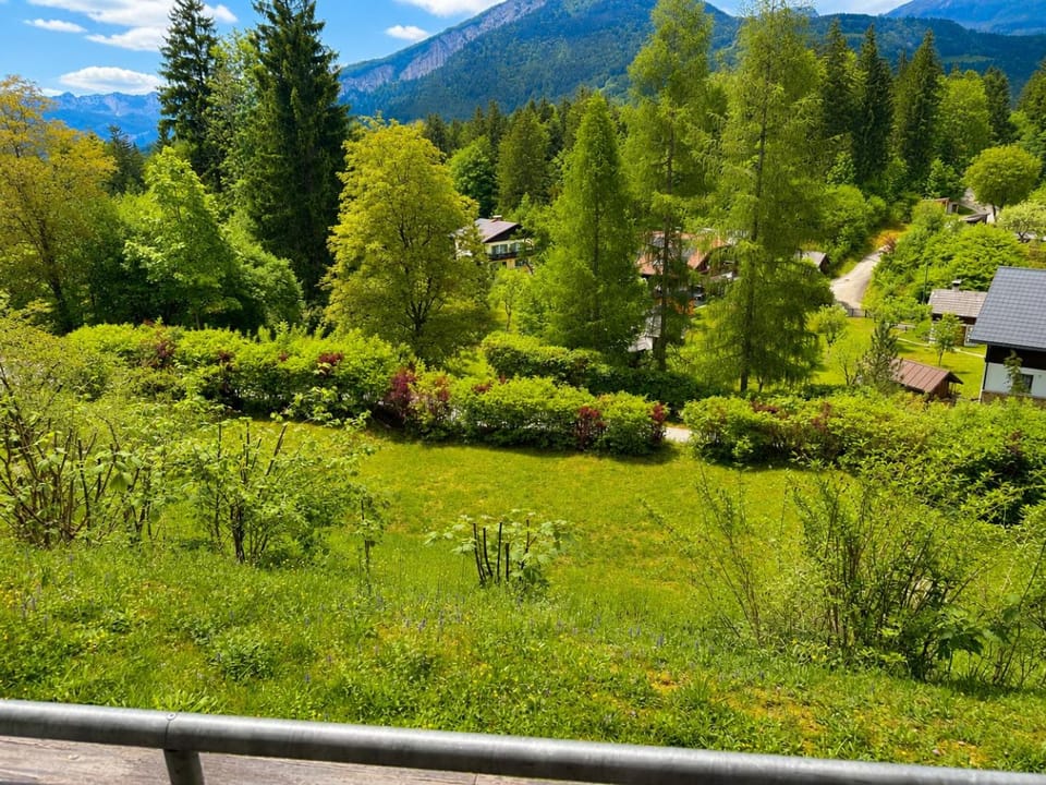 Spring, Day, Natural landscape, Garden, Garden view, Mountain view