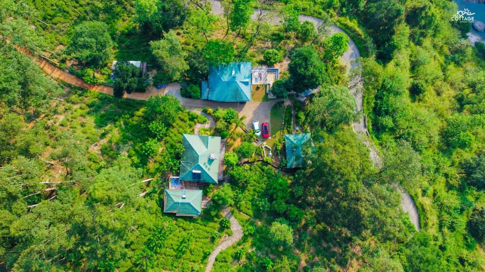 Property building, Bird's eye view, Garden