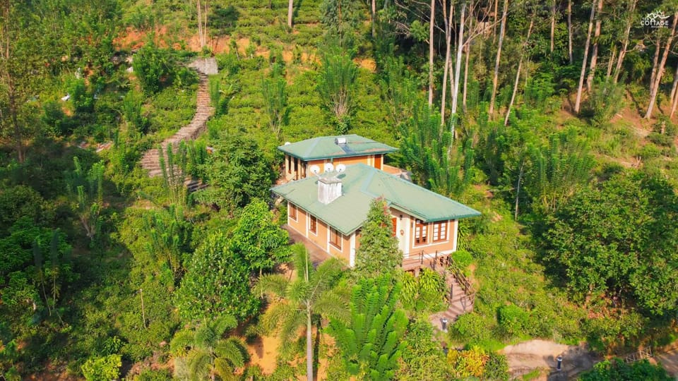 Property building, Bird's eye view, Garden