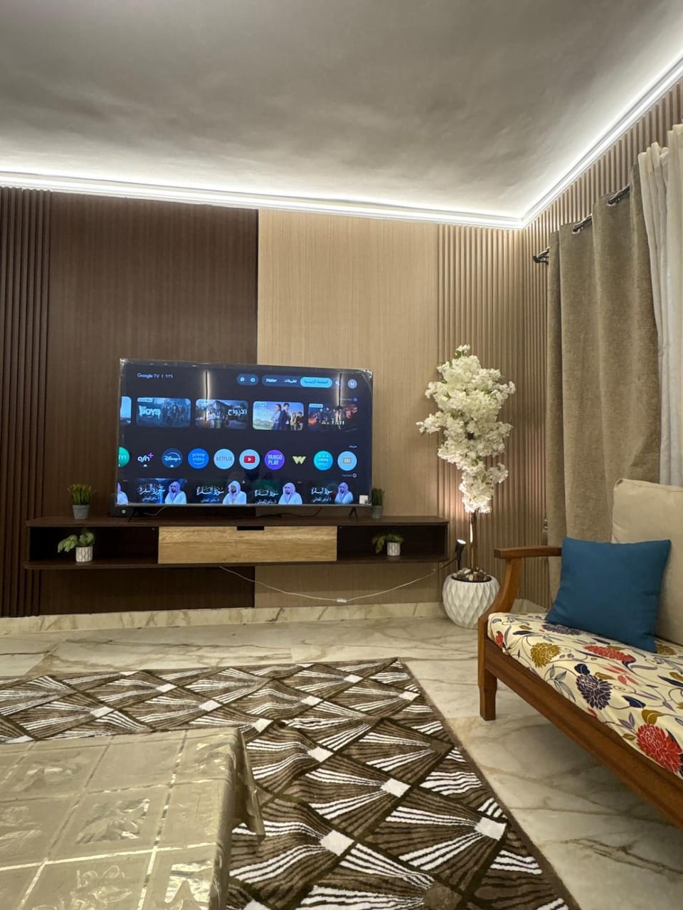 TV and multimedia