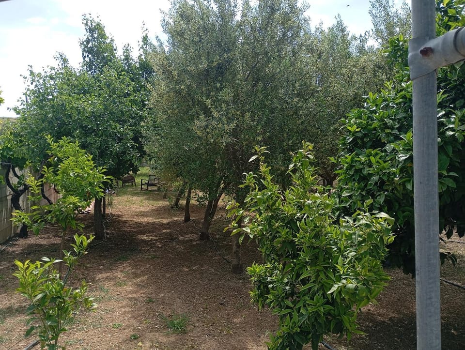 Casa MUSA House in East Attica Regional Unit, Greece