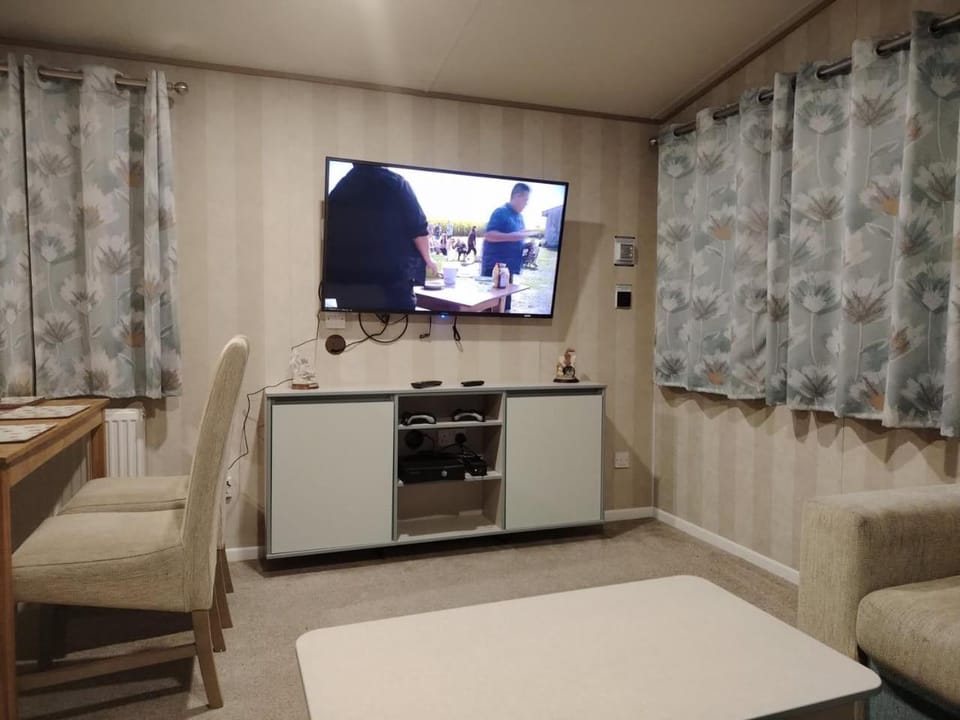 TV and multimedia
