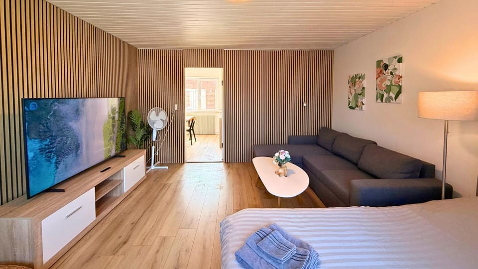 Bed, TV and multimedia, Living room, Photo of the whole room, Seating area, Evening entertainment, Bedroom
