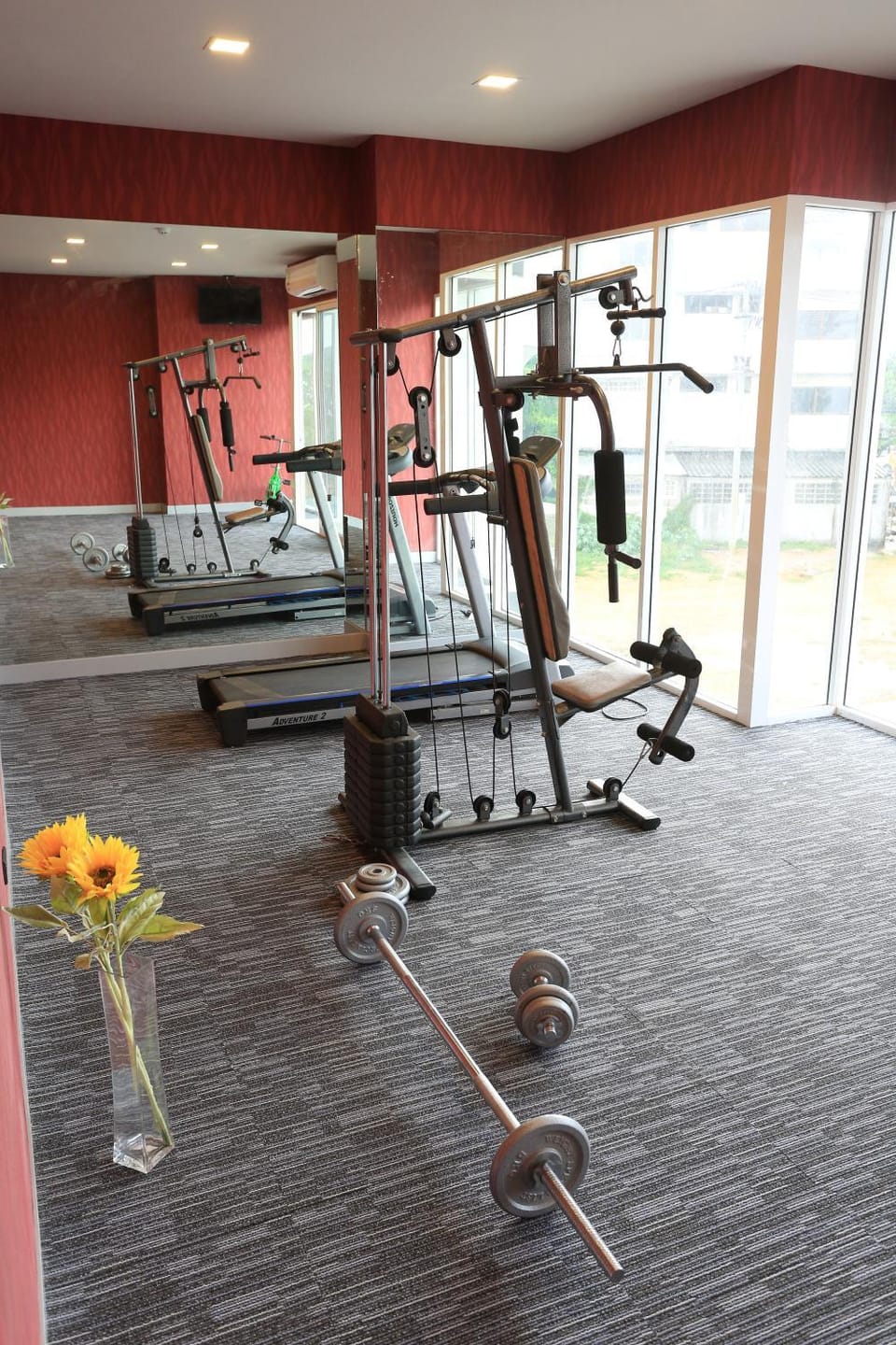 Day, Fitness centre/facilities