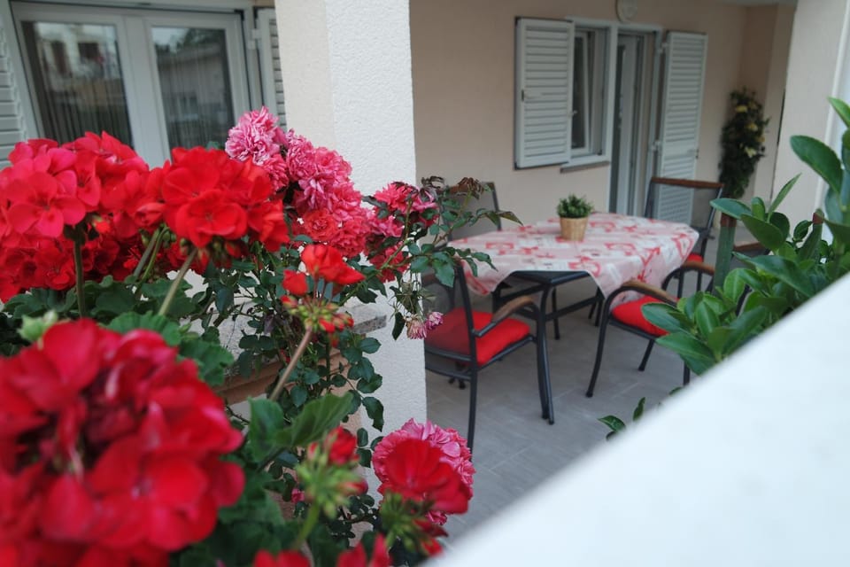 Apartments Jadranka Apartment in Novalja