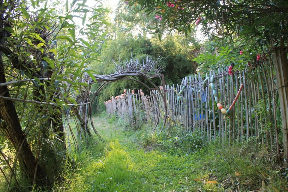 Garden view