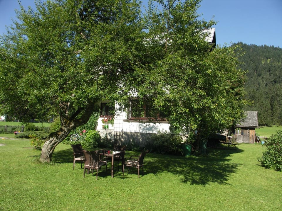 BBQ facilities, Garden