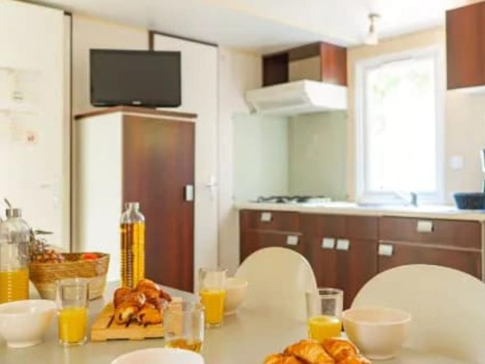 Mobil-home confortable et climatisé - 6 pers. - API-1-52-2758 Campground/ 
RV Resort in Occitanie