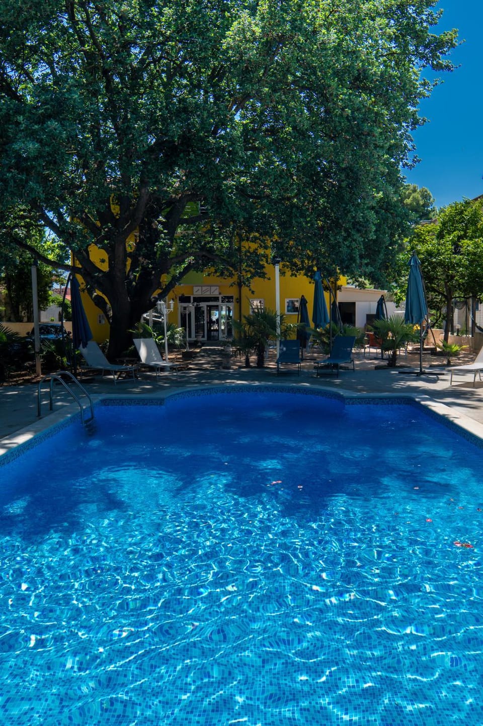 B&B Villa Marta - New Opening 2026 Bed and Breakfast in Medulin