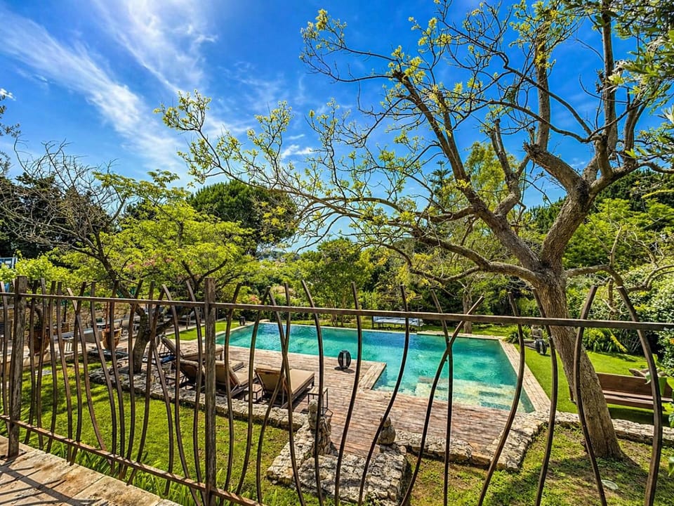 Luxury Villa, Garden, and Infinity Pool Villa in Antibes